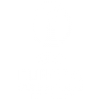 Лига Конференции